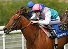 Midday repeats in the Blue Square Nassau Stakes under Tom Queally.<br><a target="blank" href="http://www.bloodhorse.com/horse-racing/photo-store?ref=http%3A%2F%2Fpictopia.com%2Fperl%2Fgal%3Fprovider_id%3D368%26ptp_photo_id%3D9128006%26ref%3Dstory">Order This Photo</a>