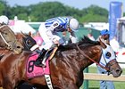 Alternation faces 4 in the Governor's Cup Stakes at Remington Park.<br><a target="blank" href="http://photos.bloodhorse.com/AtTheRaces-1/at-the-races-2012/22274956_jFd5jM#!i=1854627801&k=w7mCpZR">Order This Photo</a>