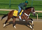 Mucho Macho Man
<br><a target="blank" href="http://www.bloodhorse.com/horse-racing/photo-store?ref=http%3A%2F%2Fpictopia.com%2Fperl%2Fgal%3Fprovider_id%3D368%26ptp_photo_id%3D9506219%26ref%3Dstory">Order This Photo</a>