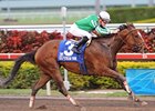 Capt. Candyman Can is the leading money earner entered in the Bay Shore Stakes.<br><a target="blank" href="http://www.bloodhorse.com/horse-racing/photo-store?ref=http%3A%2F%2Fpictopia.com%2Fperl%2Fgal%3Fprovider_id%3D368%26ptp_photo_id%3D7601154%26ref%3Dstory">Order This Photo</a>