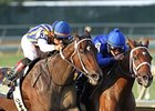 Tight Battle for 3-Year-Old Filly Eclipse Tight Battle for 3-Year-Old Filly Eclipse