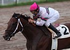 Star Guitar, Others Seek Louisiana Repeats Star Guitar, Others Seek Louisiana Repeats