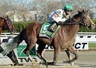 Palace comes home strong to win the Fall Highweight Handicap.