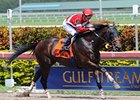 Fort Larned flies home in the Skip Away at Gulfstream.