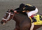 Oxbow in the LeComte Stakes.