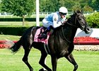 Arlington Handicap winner Cosmonaut seeks his third graded stakes victory in the River City Handicap.