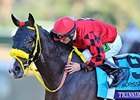 Willie Martinez and Trinniberg<br><a target="blank" href="http://photos.bloodhorse.com/BreedersCup/2012-Breeders-Cup/Sprint/26128714_drZjpJ#!i=2194493812&k=jWhWtk5">Order This Photo</a>