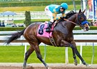 Bodemeister