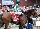 Artemis Agrotera<br><a target="blank" href="http://photos.bloodhorse.com/AtTheRaces-1/At-the-Races-2014/i-LLrx7WL">Order This Photo</a>