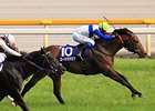 Lord Kanaloa wins the Yasuda Kinen in Japan.
<br><a target="blank" href="http://photos.bloodhorse.com/AtTheRaces-1/at-the-races-2013/27257665_QgCqdh#!i=2549798038&k=KVcS9s7">Order This Photo</a>