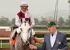 Injured Calculator to Miss Triple Crown Races Injured Calculator to Miss Triple Crown Races