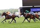 Most Improved comes home strong to win the St. James's Palace Stakes.<br><a target="blank" href="http://photos.bloodhorse.com/AtTheRaces-1/at-the-races-2012/22274956_jFd5jM#!i=1914968047&k=sv4Z5N4">Order This Photo</a>