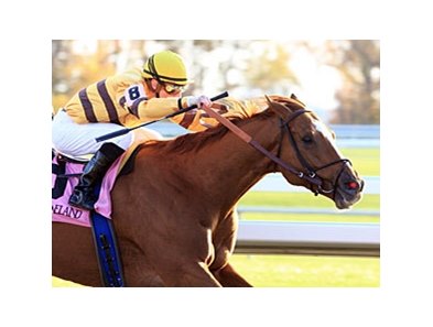Wise Dan