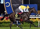 Chinchon Claims Singapore Airlines Cup Chinchon Claims Singapore Airlines Cup