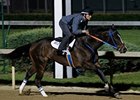 Summer Applause worked five furlongs in :59 3/5 at Churchill Downs on April 20.