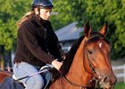 Big Brown at Belmont Park<br><a target="blank" href="http://www.bloodhorse.com/horse-racing/photo-store?ref=http%3A%2F%2Fpictopia.com%2Fperl%2Fgal%3Fprovider_id%3D368%26ptp_photo_id%3D4674046%0D%0A%26ref%3Dstory">Order This Photo</a>