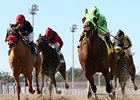 Carson City Sires 100th Stakes Winner Carson City Sires 100th Stakes Winner