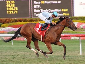I Lost My Choo Pulls Honey Fox Upset I Lost My Choo Pulls Honey Fox Upset