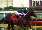 Buffalo Man is the only runner in the Dixie's nine-horse field to carry more than 118 pounds.