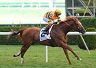 Wise Dan<br><a target="blank" href="http://photos.bloodhorse.com/AtTheRaces-1/at-the-races-2012/22274956_jFd5jM#!i=2019757428&k=LhshsJZ">Order This Photo</a>