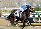 Wedding Toast tries for her sixth victory Feb. 21 in the Rampart.<br><a target="blank" href="http://photos.bloodhorse.com/AtTheRaces-1/at-the-races-2013/27257665_QgCqdh#!i=2940058208&k=8X8Cj5z">Order This Photo</a>