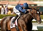 Mr. Commons and Mike Smith take the Arcadia at Santa Anita.