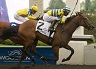 Sweater Weather is the 121-pound co-highweight in the Whimsical.