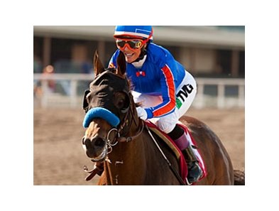 Game On Dude faces 6 in the Hollywood Gold Cup.