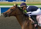 Coffee Clique will carry co-highweight of 123 pounds in the Noble Damsel Stakes.