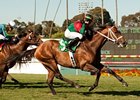 Jeranimo won the Shoemaker Mile at Betfair Hollywood Park June 30.