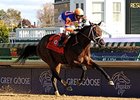 Uncle Mo will break from the rail in the Timely Writer Stakes.<br><a target="blank" href="http://www.bloodhorse.com/horse-racing/photo-store?ref=http%3A%2F%2Fpictopia.com%2Fperl%2Fgal%3Fprovider_id%3D368%26ptp_photo_id%3D9272819%26ref%3Dstory">Order This Photo</a>