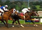 Cowboy Cal is one of the headliners in the big field taking on the Woodford Reserve Manhattan.<br><a target="blank" href="http://www.bloodhorse.com/horse-racing/photo-store?ref=http%3A%2F%2Fpictopia.com%2Fperl%2Fgal%3Fprovider_id%3D368%26ptp_photo_id%3D7685658%26ref%3Dstory">Order This Photo</a>