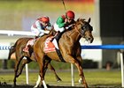 Dubai World Cup Set for March 29 Dubai World Cup Set for March 29