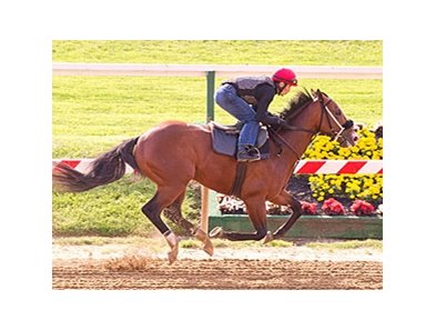 Zetterholm at Pimlico