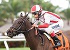Consumer Credit will break from post 7 in the Florida Oaks.
<br><a target="blank" href="http://photos.bloodhorse.com/AtTheRaces-1/At-the-Races-2015/i-F4FC9xt">Order This Photo</a>