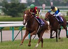 Orfevre<br><a target="blank" href="http://photos.bloodhorse.com/AtTheRaces-1/at-the-races-2012/22274956_jFd5jM#!i=1925588634&k=6mNfqNp">Order This Photo</a>
