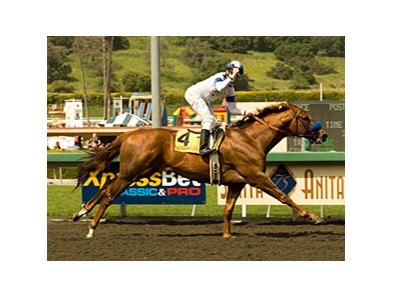 Santa Anita Derby winner Sidney's Candy hasn't run since finishing 17th in the Kentucky Derby.<br><a target="blank" href="http://www.bloodhorse.com/horse-racing/photo-store?ref=http%3A%2F%2Fpictopia.com%2Fperl%2Fgal%3Fprovider_id%3D368%26ptp_photo_id%3D8874682%26ref%3Dstory">Order This Photo</a>