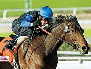 Derby's Next for Cal-Bred Bob Black Jack Derby's Next for Cal-Bred Bob Black Jack