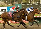 Hollywood Juvenile Championship winner J P's Gusto headlines the Best Pal.<br><a target="blank" href="http://www.bloodhorse.com/horse-racing/photo-store?ref=http%3A%2F%2Fpictopia.com%2Fperl%2Fgal%3Fprovider_id%3D368%26ptp_photo_id%3D9097250%26ref%3Dstory">Order This Photo</a>