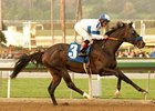 Twirling Candy was made the 5-2 morning-line favorite for the Pacific Classic.<br><a target="blank" href="http://www.bloodhorse.com/horse-racing/photo-store?ref=http%3A%2F%2Fpictopia.com%2Fperl%2Fgal%3Fprovider_id%3D368%26ptp_photo_id%3D9395258%26ref%3Dstory">Order This Photo</a>