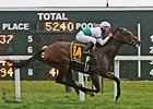 Appealing Cat makes her first appearance in Southern California in the Red Carpet Handicap.
