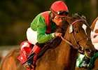 Gypsy's Warning in the 2010 Matriarch Stakes.