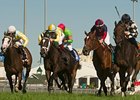 Llanarmon, Spanish Flower, and Appreciating finished 1-2-3 in the Natalma Stakes.