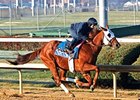 Groupie Doll