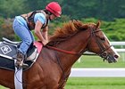 Shackleford at Belmont Park<br><a target="blank" href="http://www.bloodhorse.com/horse-racing/photo-store?ref=http%3A%2F%2Fpictopia.com%2Fperl%2Fgal%3Fprovider_id%3D368%26ptp_photo_id%3D9550950%26ref%3Dstory">Order This Photo</a>
