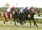 Rutherienne Grabs Genter With Flair Rutherienne Grabs Genter With Flair