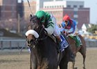J J's Lucky Train is scheduled to run in the Haskell.<br><a target="blank" href="http://www.bloodhorse.com/horse-racing/photo-store?ref=http%3A%2F%2Fpictopia.com%2Fperl%2Fgal%3Fprovider_id%3D368%26ptp_photo_id%3D9488428%26ref%3Dstory">Order This Photo</a>
