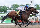 Alternation catches Adios Charlie late to win the Peter Pan at Belmont.<br><a target="blank" href="http://www.bloodhorse.com/horse-racing/photo-store?ref=http%3A%2F%2Fpictopia.com%2Fperl%2Fgal%3Fprovider_id%3D368%26ptp_photo_id%3D9525608%26ref%3Dstory">Order This Photo</a>