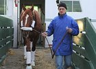 Curlin arrives at Belmont Park.