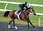 Havre de Grace